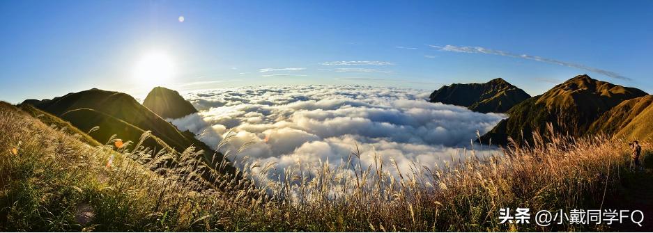 大江西的特产除了出“骚客”，还出什么？反正我知道的不多
