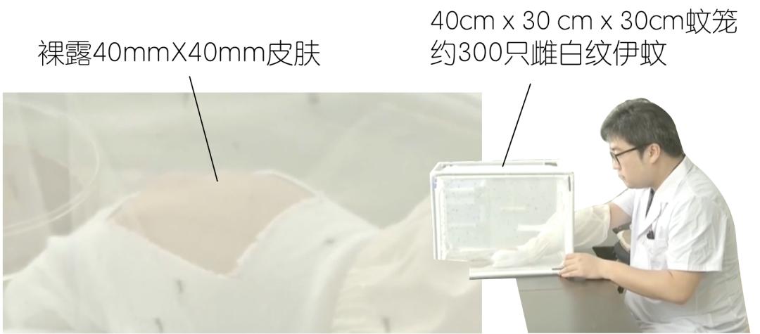 住院蚊子多用什么可以防蚊,防被蚊子咬的方法