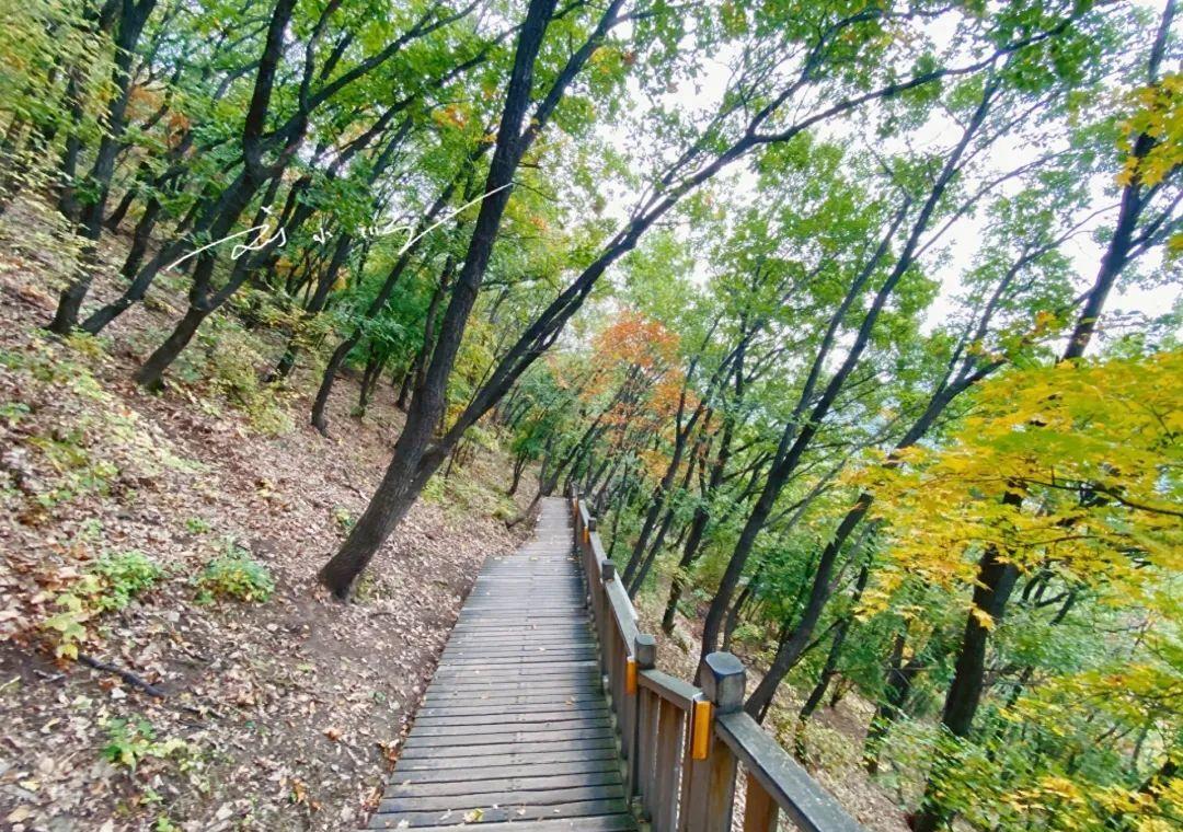 延吉的免费小众景点,游览延吉视频