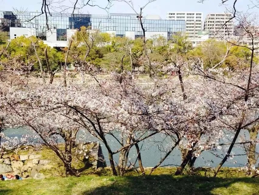 段哥福建,段哥跨境
