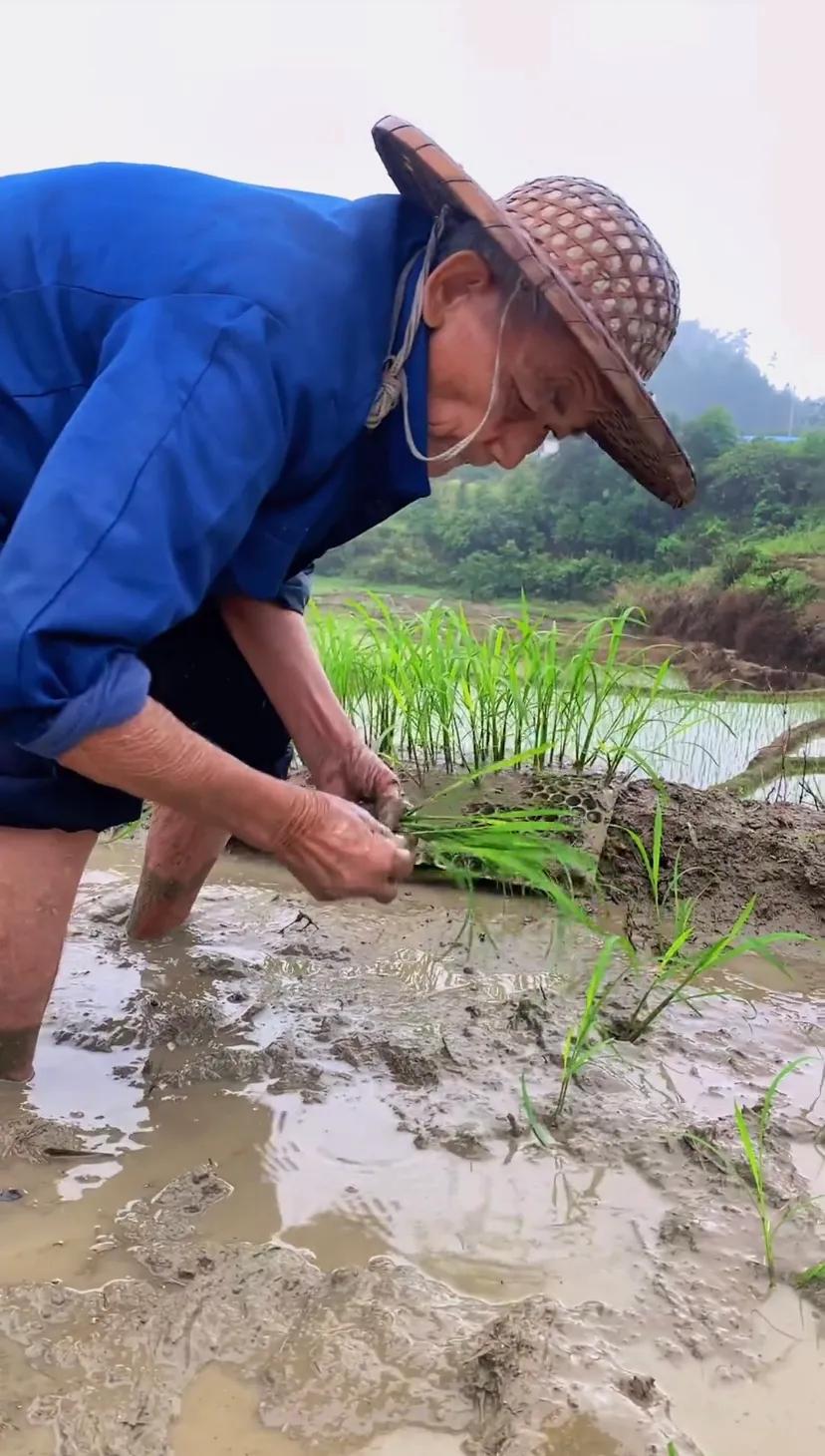 说农业是暴利的专家是哪个人,农业是暴利行业是哪个专家说的