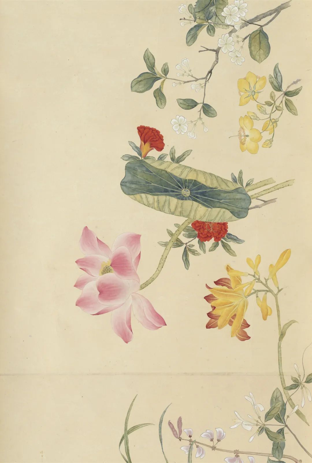 慕容看世界的视频,慕容看世界所有视频