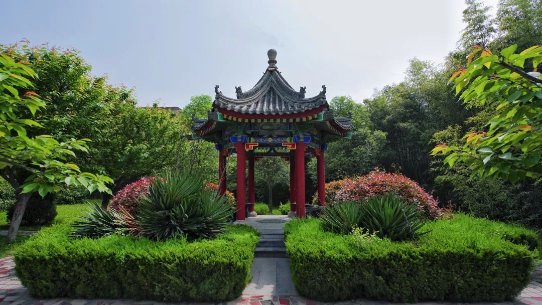 甘肃2021年退役军人事务厅招聘,陕西省退役士兵事业单位招聘