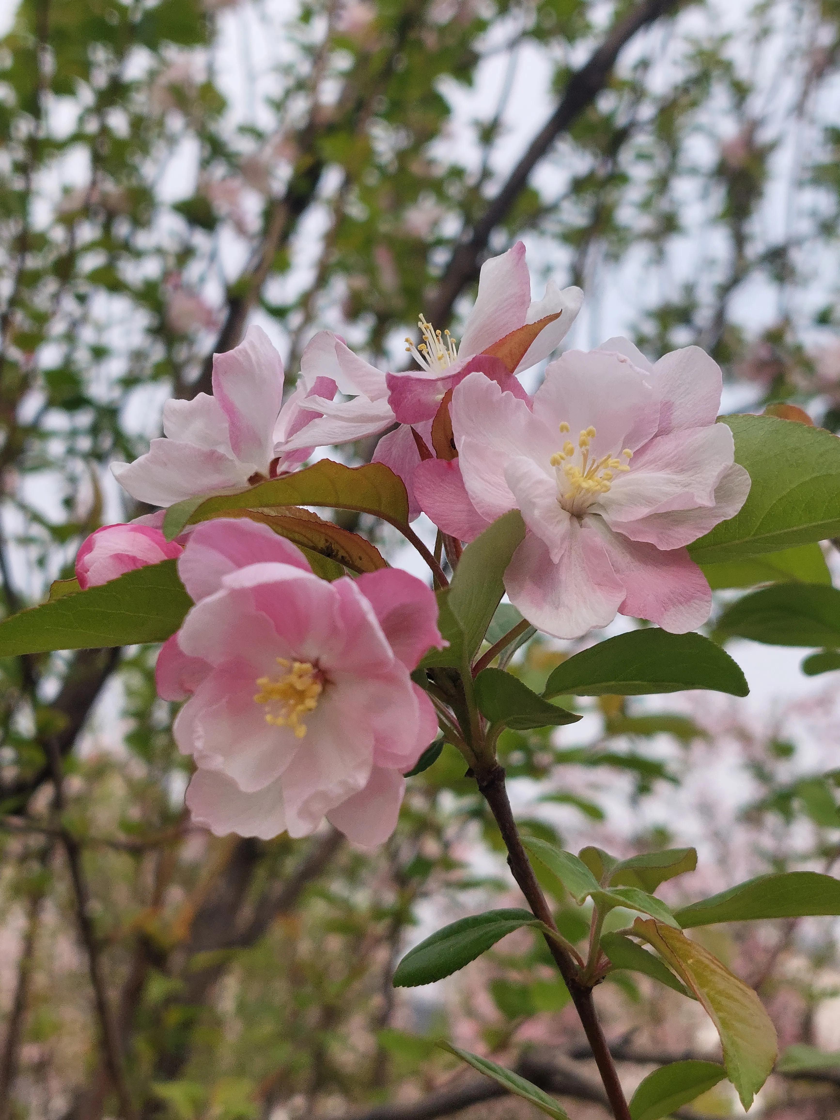 自媒体到底怎样赚钱,自媒体到底怎么赚钱的
