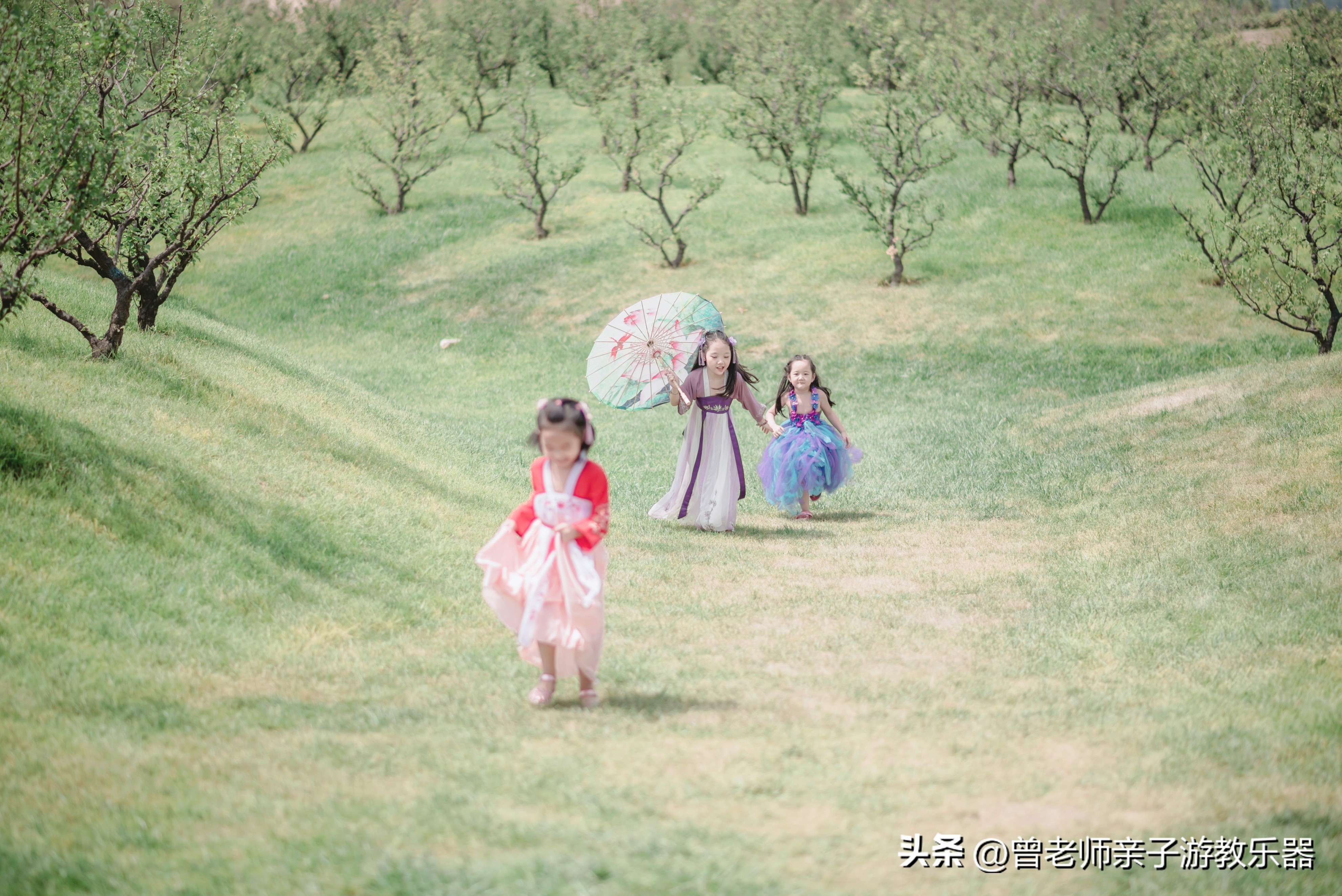 西安2023旅游攻略,2023年西安必去景点