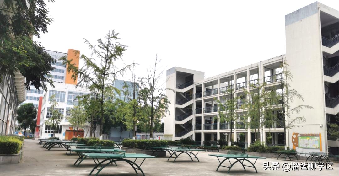 乘着大运会这缕“东风”，应该没有谁比东安湖还快