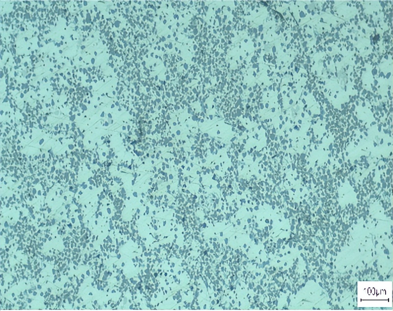 文昌新材徐骏教授：电磁搅拌吸铸技术及其在铝陶复合材料中的应用