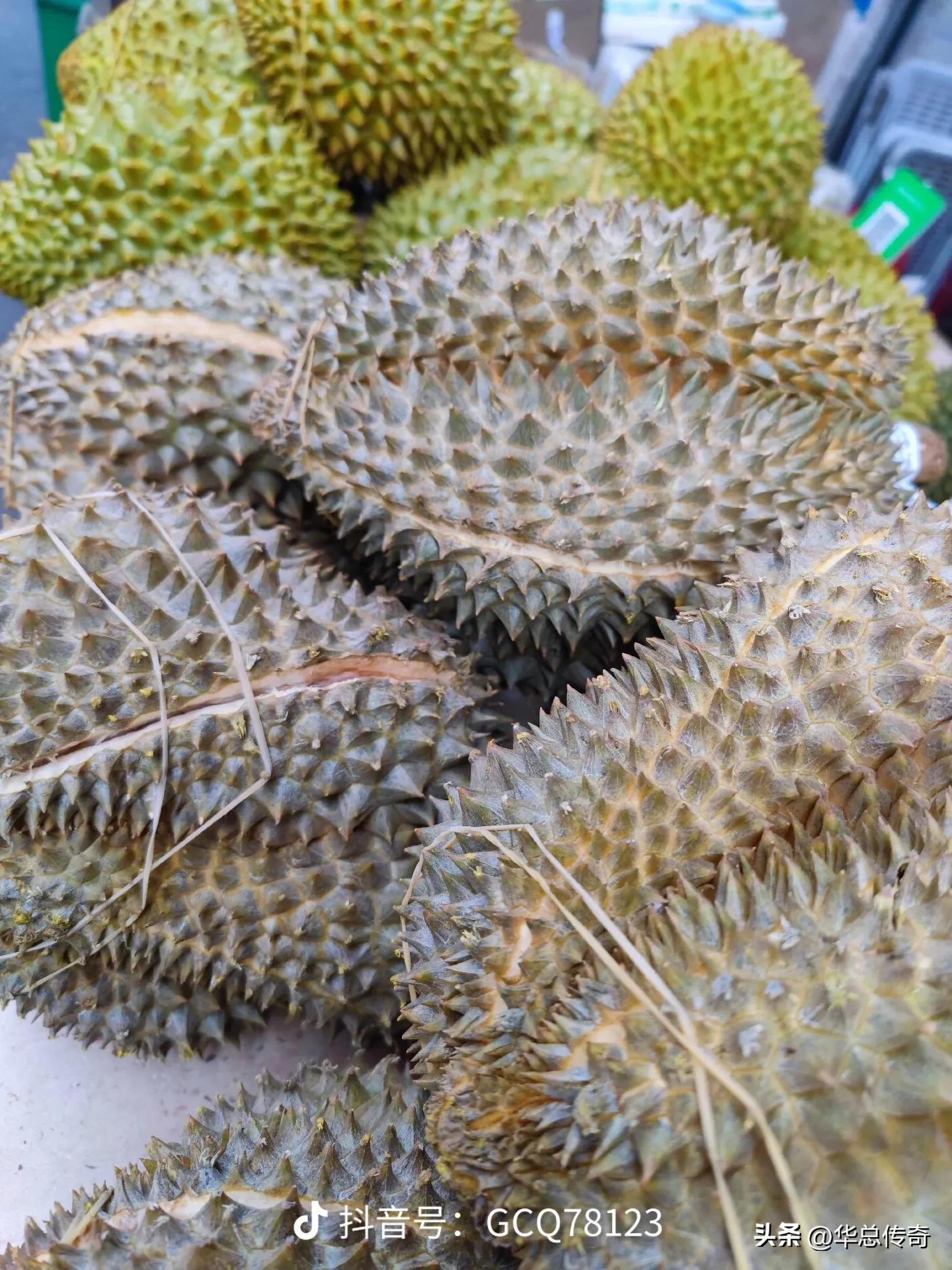 海南的蔬菜水果为什么贵,海南省哪个市的水果最便宜