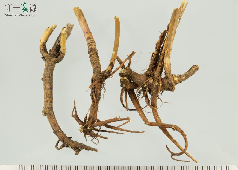 中药鉴定真假找谁,柴胡真假优劣鉴别