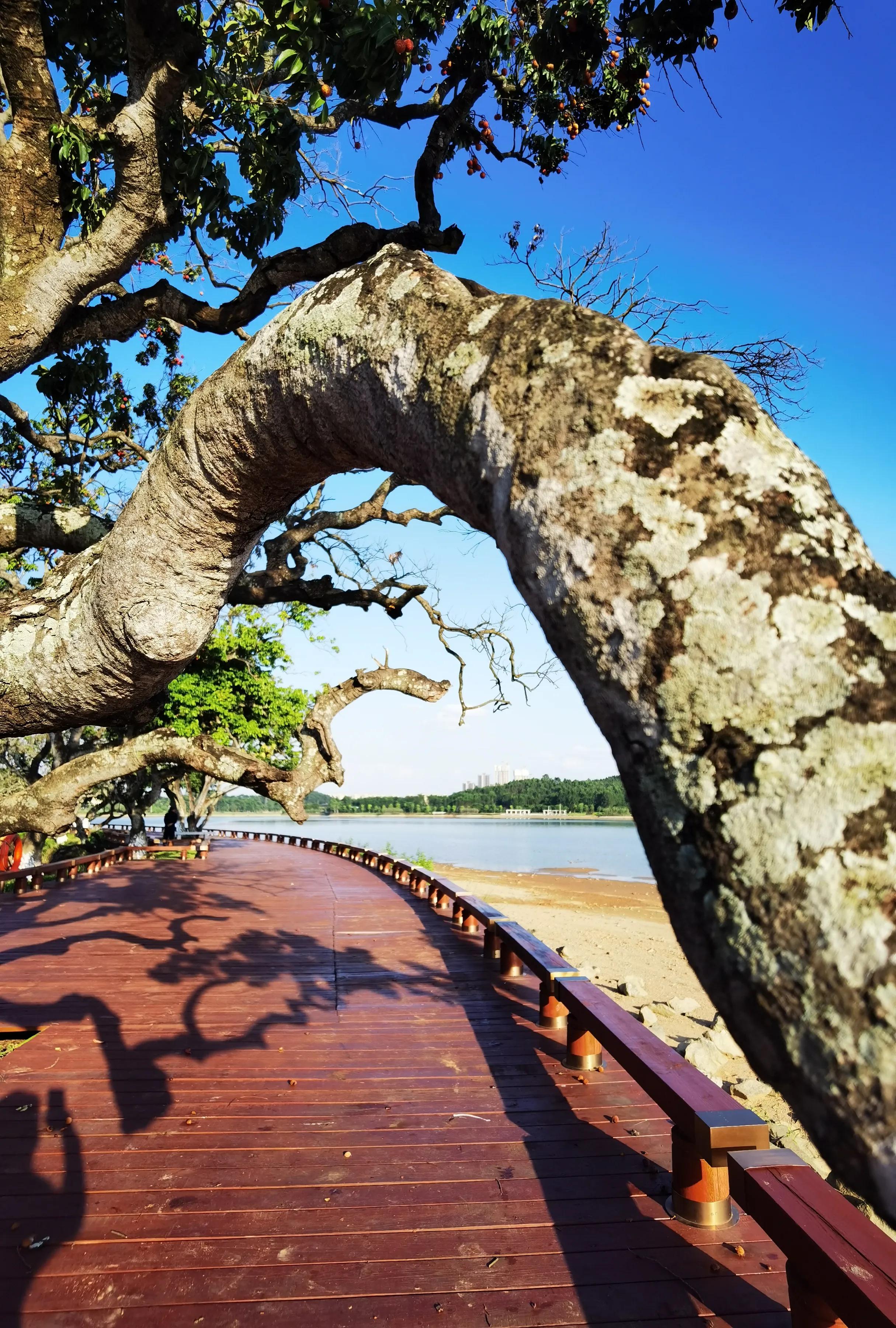 鎵嬫媿涓栫晫鎽勫奖浜ゆ祦骞冲彴,鎵嬫媿涓栫晫鎵嬫満鎽勫奖骞冲彴