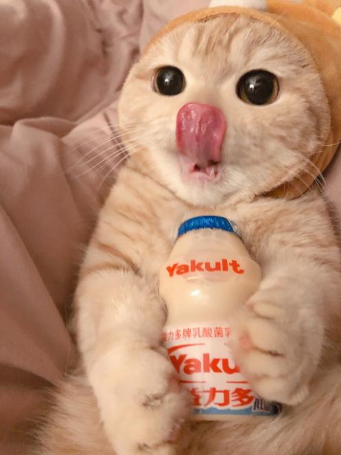 在中国潜伏的日本间谍,隐藏在国内的日企