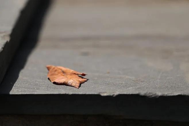 经历过的那些孤独我们称之为成长,孤独中的自我教育