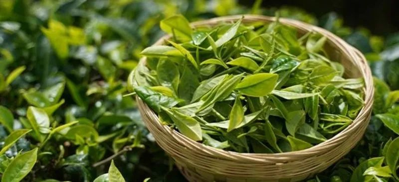 云礼|这些伴手礼让你的暑期旅游满载而归！