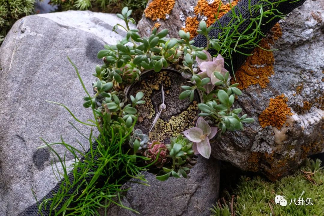 “最”会玩话题的独立制表品牌亨利慕时，在中国扎根了！