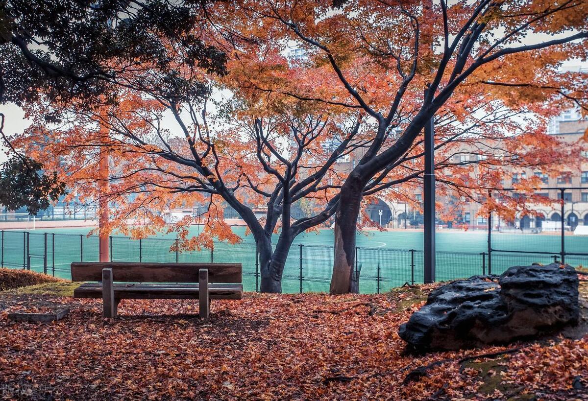 亚洲第一高校东京大学