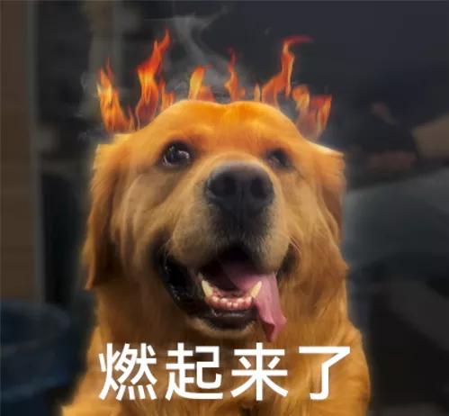 网友手机里的语音助手，搞崩了多少骚扰电话的心态？