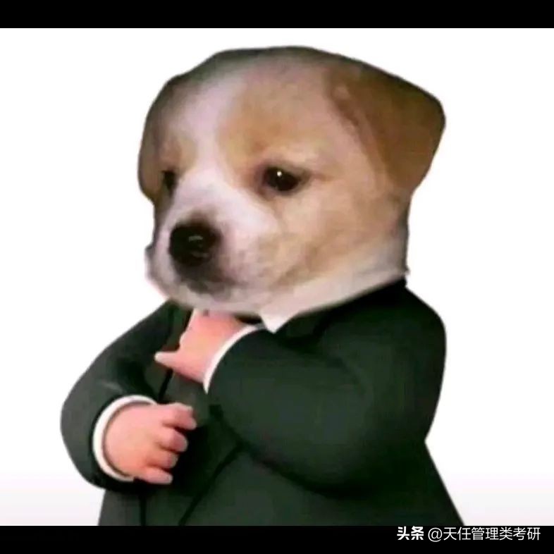 考研复试给导师发什么样的简历好,考研复试面试给老师简历么