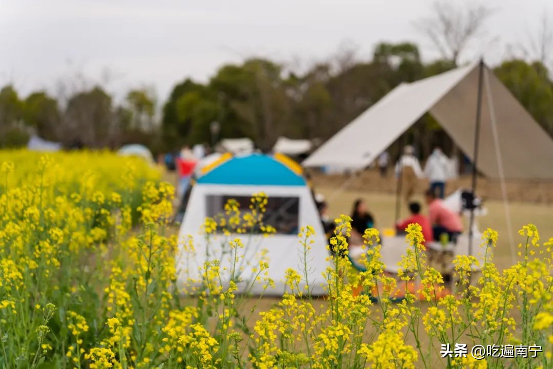 南宁真实生活现状,南宁的真实生活状态