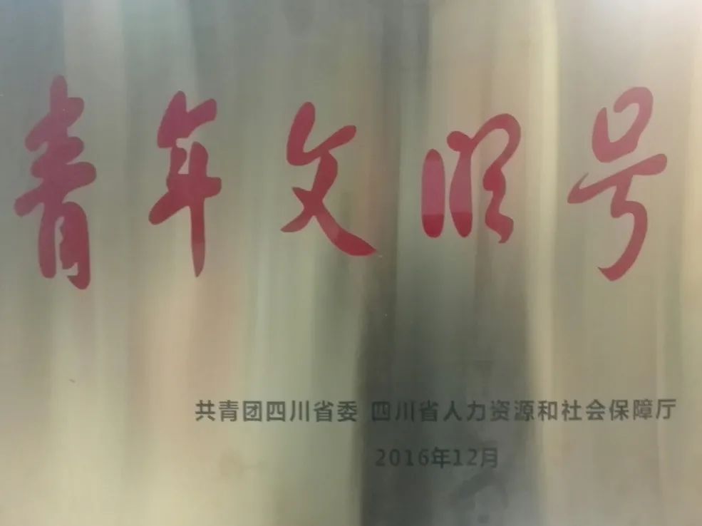 绵阳南实中学实验学校和南山双语,绵阳南山中学实验学校