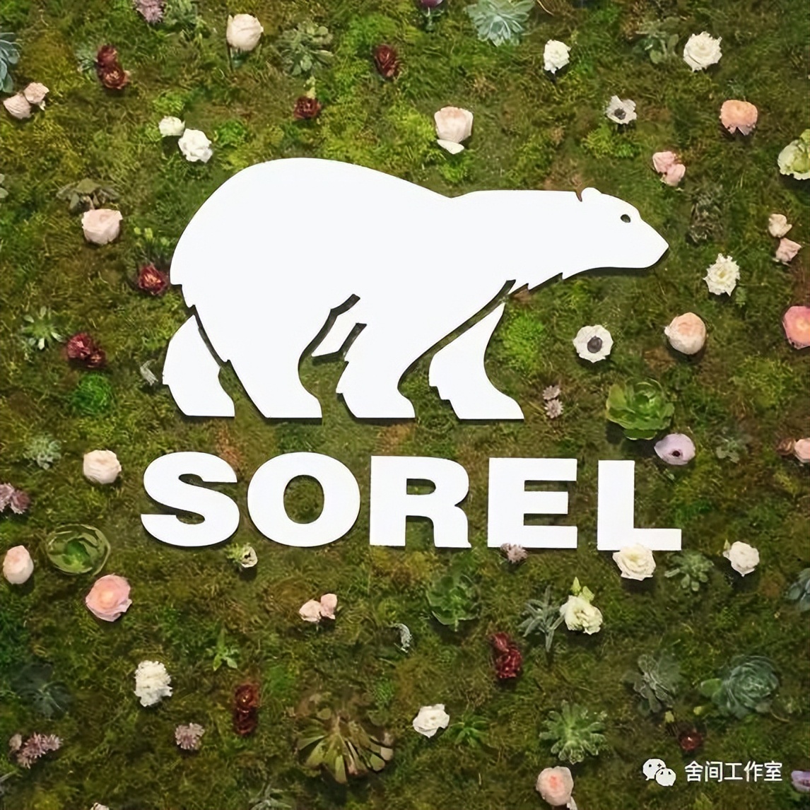 除了加拿大鹅还有哪个牌子好,你还知道哪些国家有加拿大鹅吗