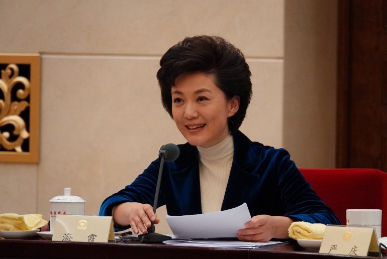 国脸女主持人海霞,央视美女主播海霞图片