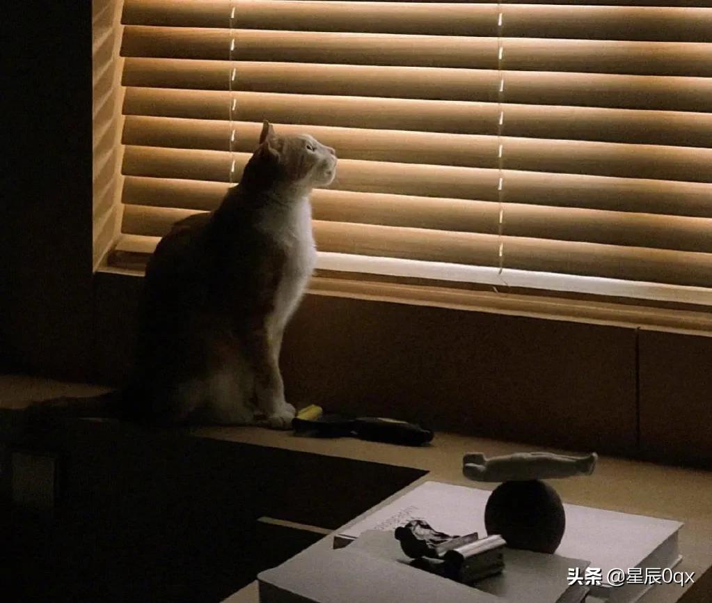 音乐生活更精彩的句子简短,形容音乐美妙的句子