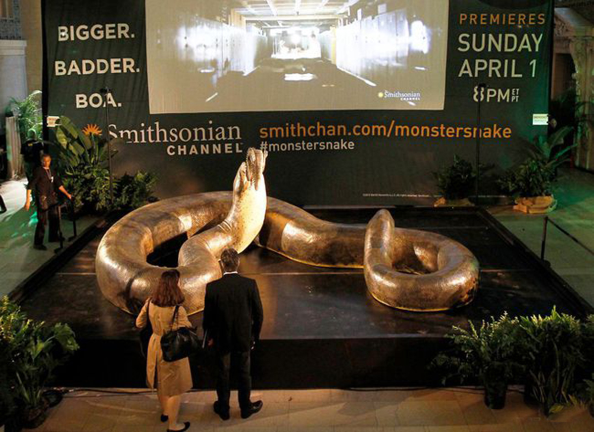 史前泰坦巨蟒到底有多长,泰坦巨蟒最大可以长到多大