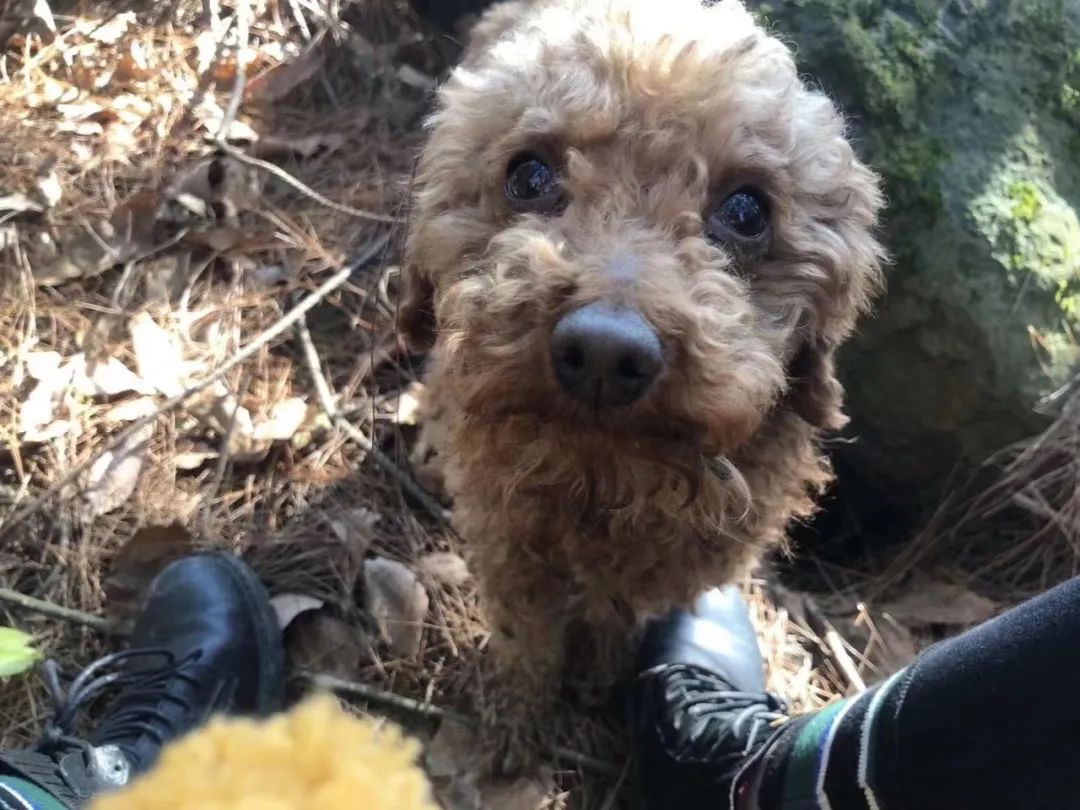 36岁不婚不育，她裸辞回家：吃住全免，太爽了