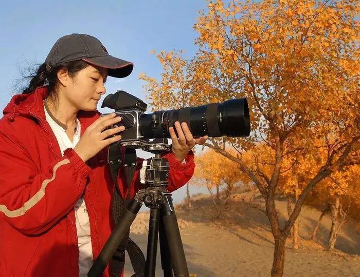 我想我是一匹迷路的骆驼