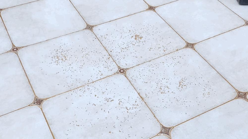 扫地机器人推荐云鲸j3,扫地机器人云鲸J3测评