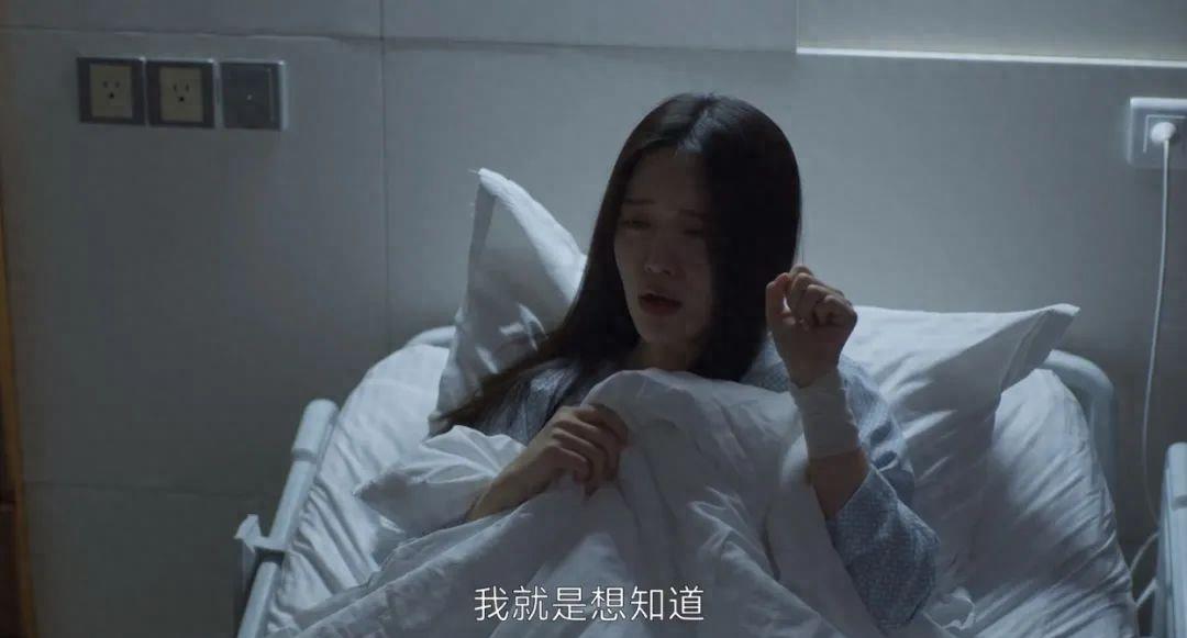 央视又证明了自己“眼光”，接连五天收视第一，这次换张一山火了