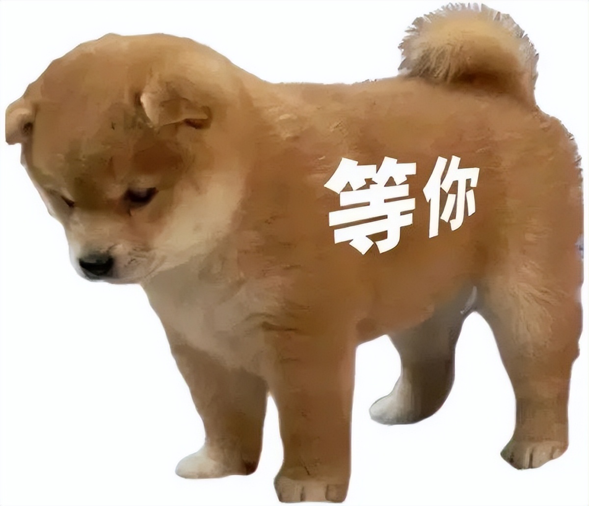 qq音乐和网易云音乐哪个更费电,qq音乐和网易云音质不一样