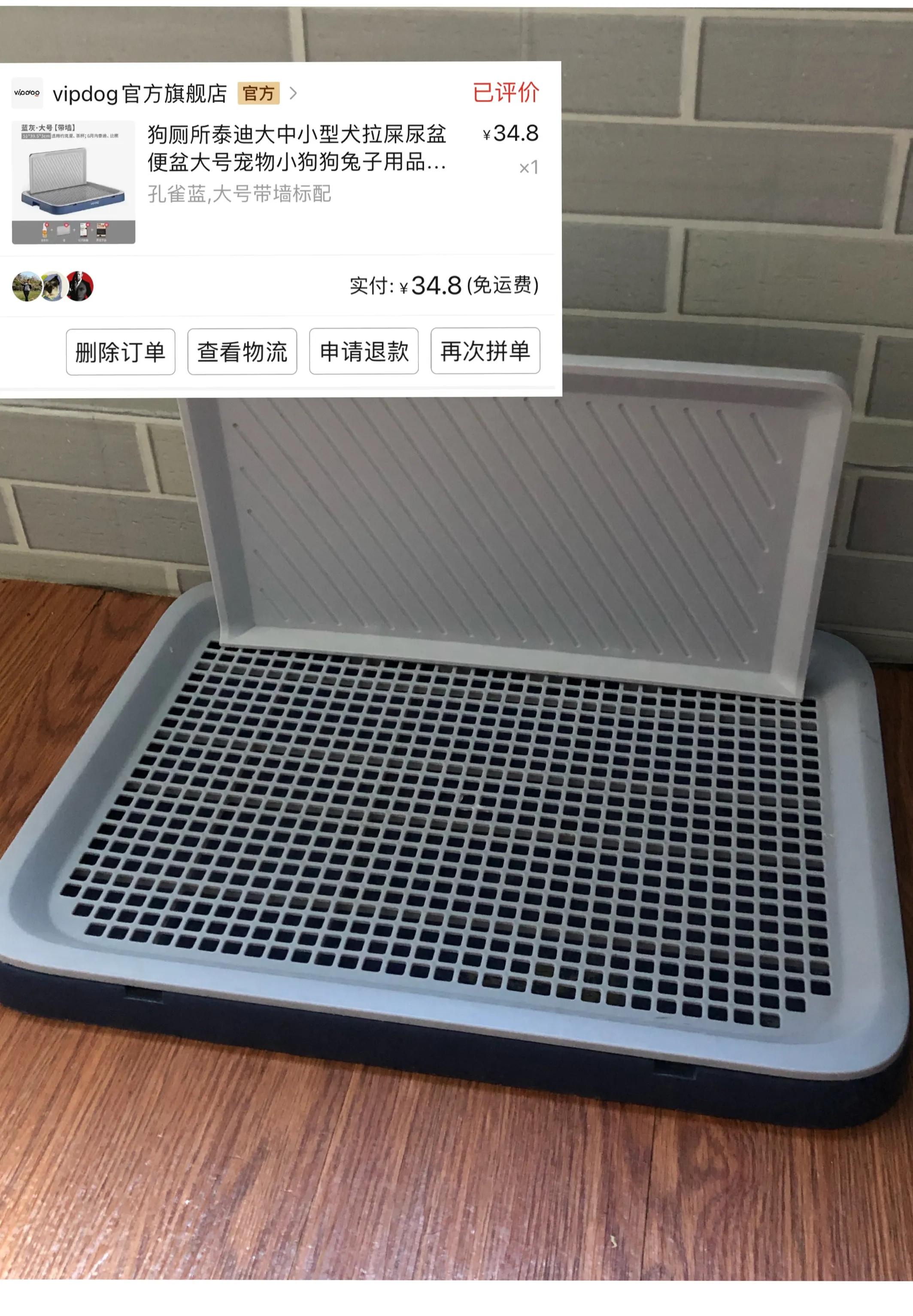 1-12月保姆级养狗指南,新手养狗保姆级教程