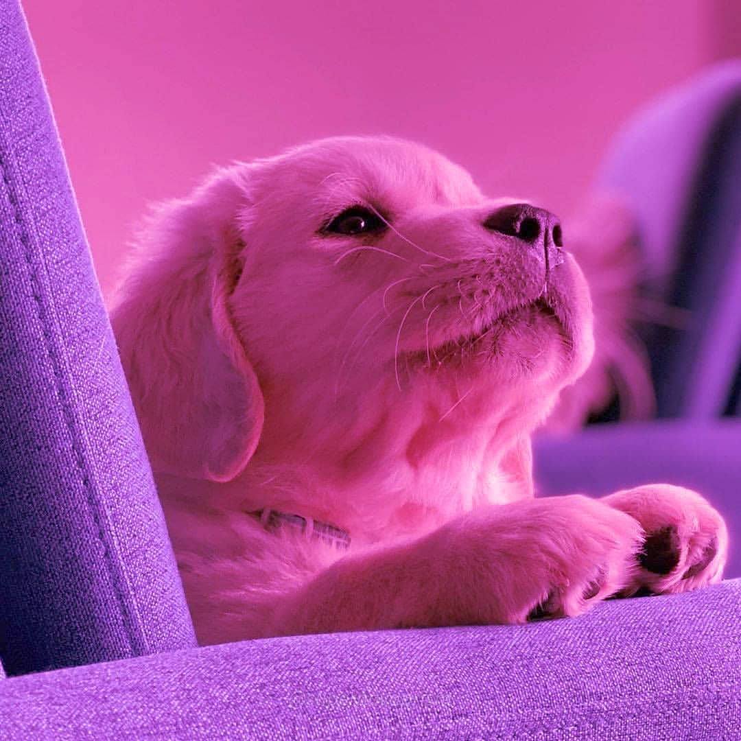 大屏护眼智慧课堂自主学习-教多多E13学习平板深度评测