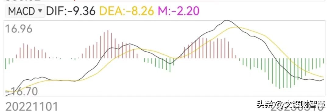 股票盘面指标讲解视频,小白怎么看懂一支股票涨了跌了