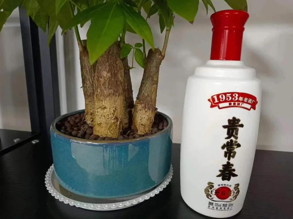 江西人本地都喝啥四特酒,喝酒就喝江西四特名酒