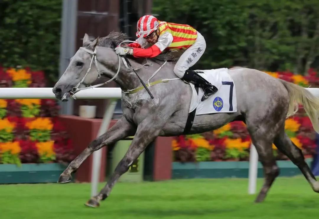 华将发亮～钟易礼谷草首胜蔡明绍力争参与《浪琴国际骑师锦标赛》