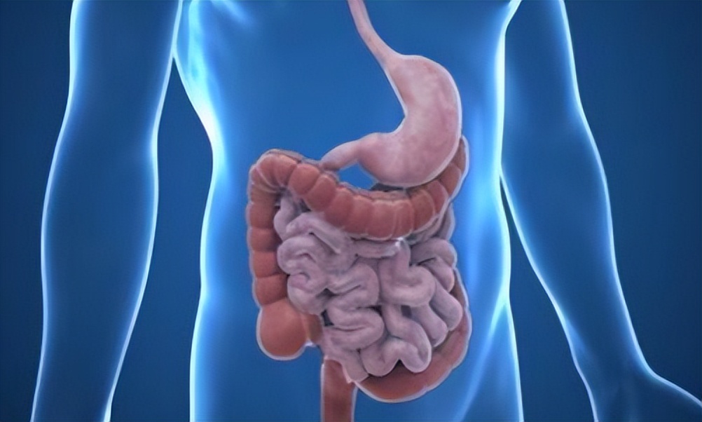 喝酒拉肚子是不是经常喝酒的原因,长期喝酒戒酒后又喝酒开始拉肚子