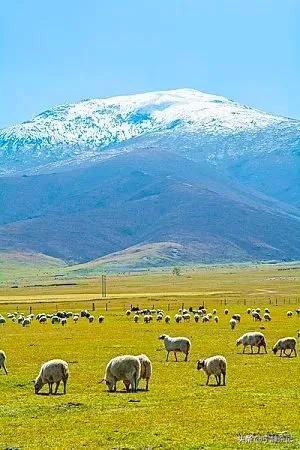 说句心里话，你来*今条头日**做什么？