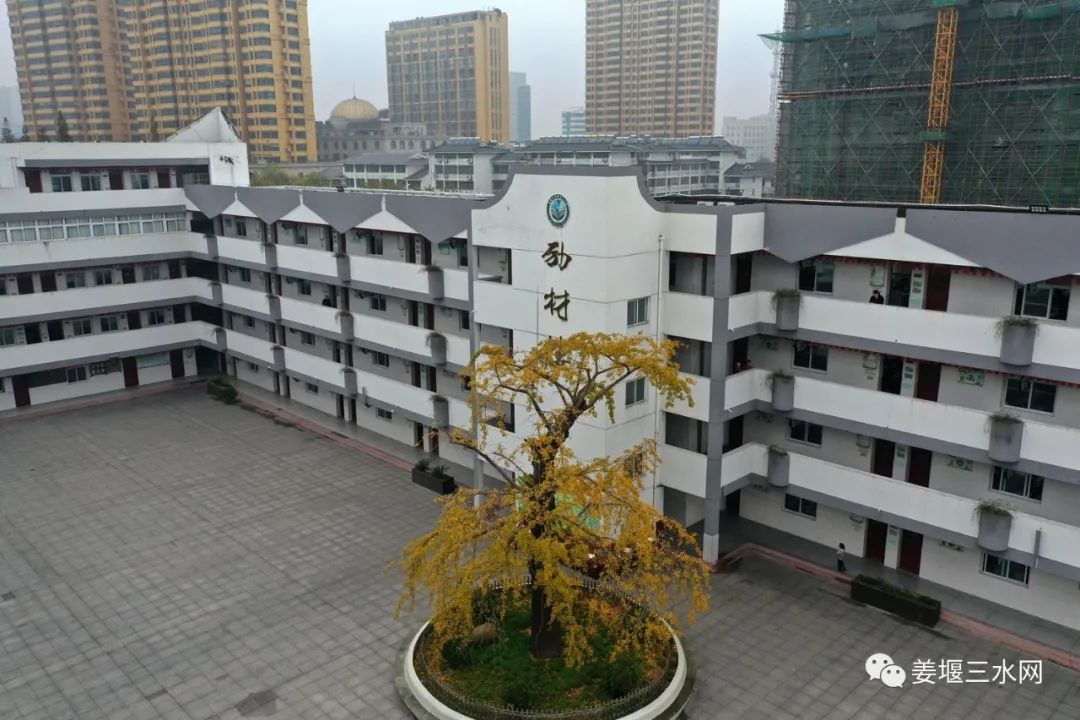 姜堰城西学校向北扩还是向西扩,姜堰规划新建小学