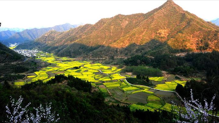鄂尔多斯盆地构造,鄂尔多斯古盆地