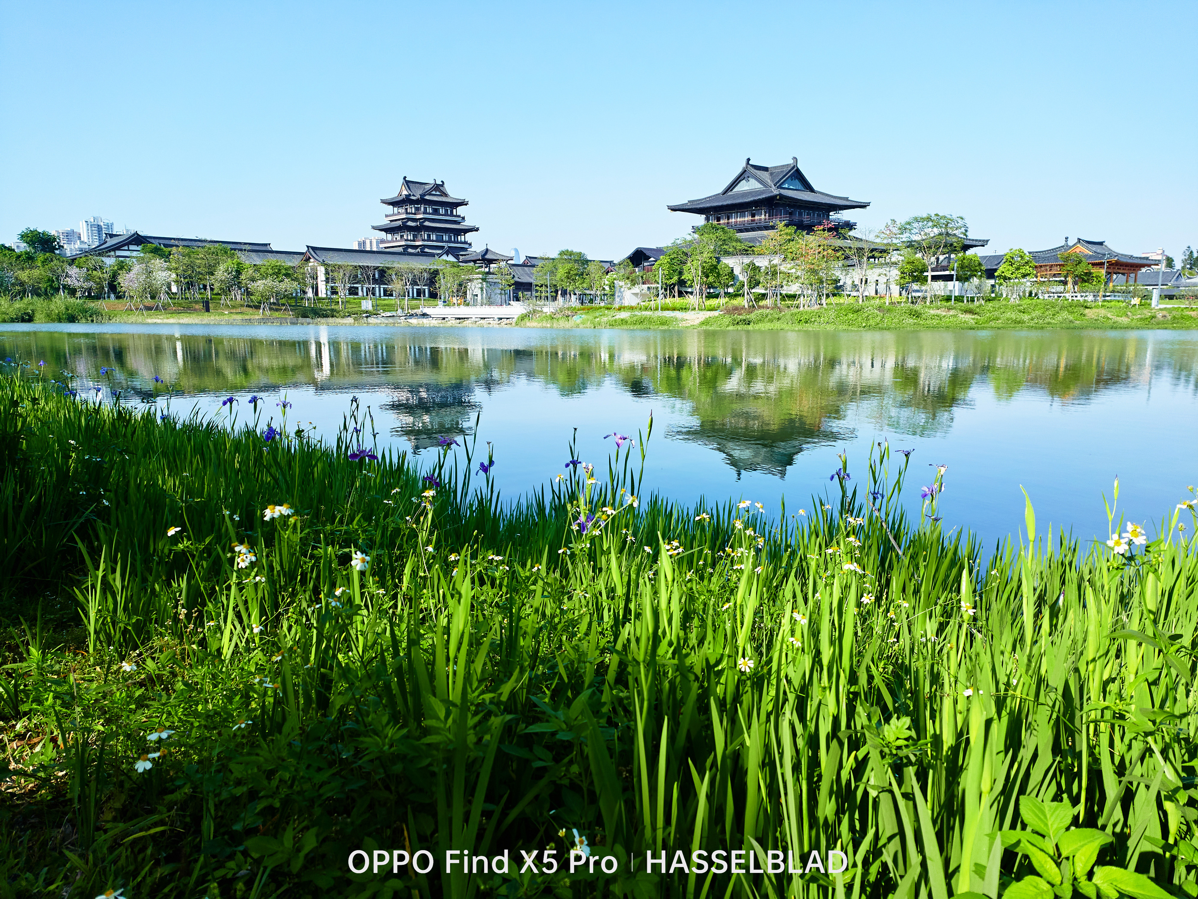 2022年单反相机推荐,2022年入门高性价比单反相机推荐