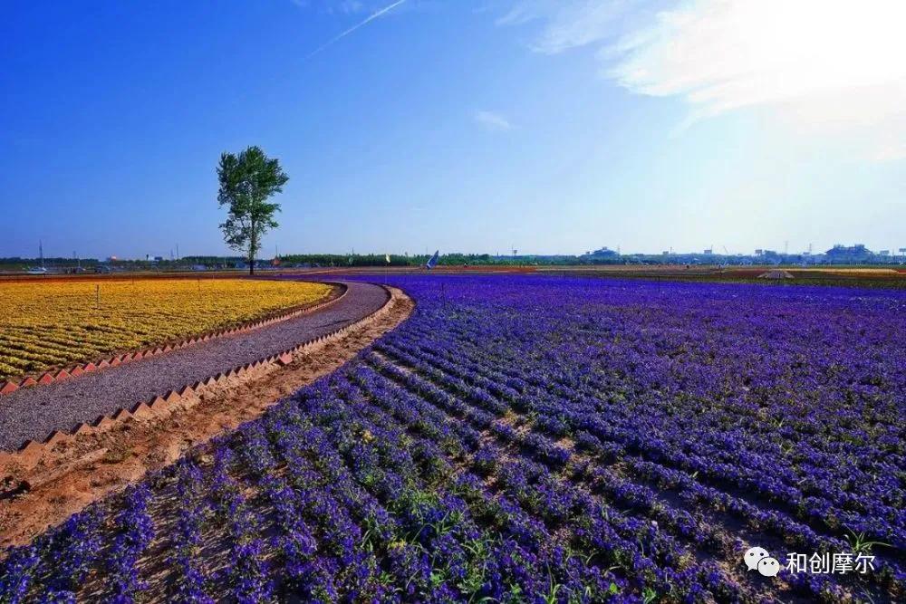 积极探索村集体经济发展模式,探索农村集体经济联合社模式