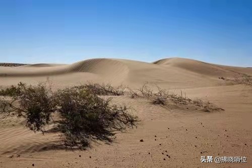 王林：忆62师贺兰山勘察与设防