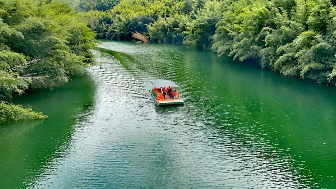 广宁竹产业园,中国广宁竹产业创新发展