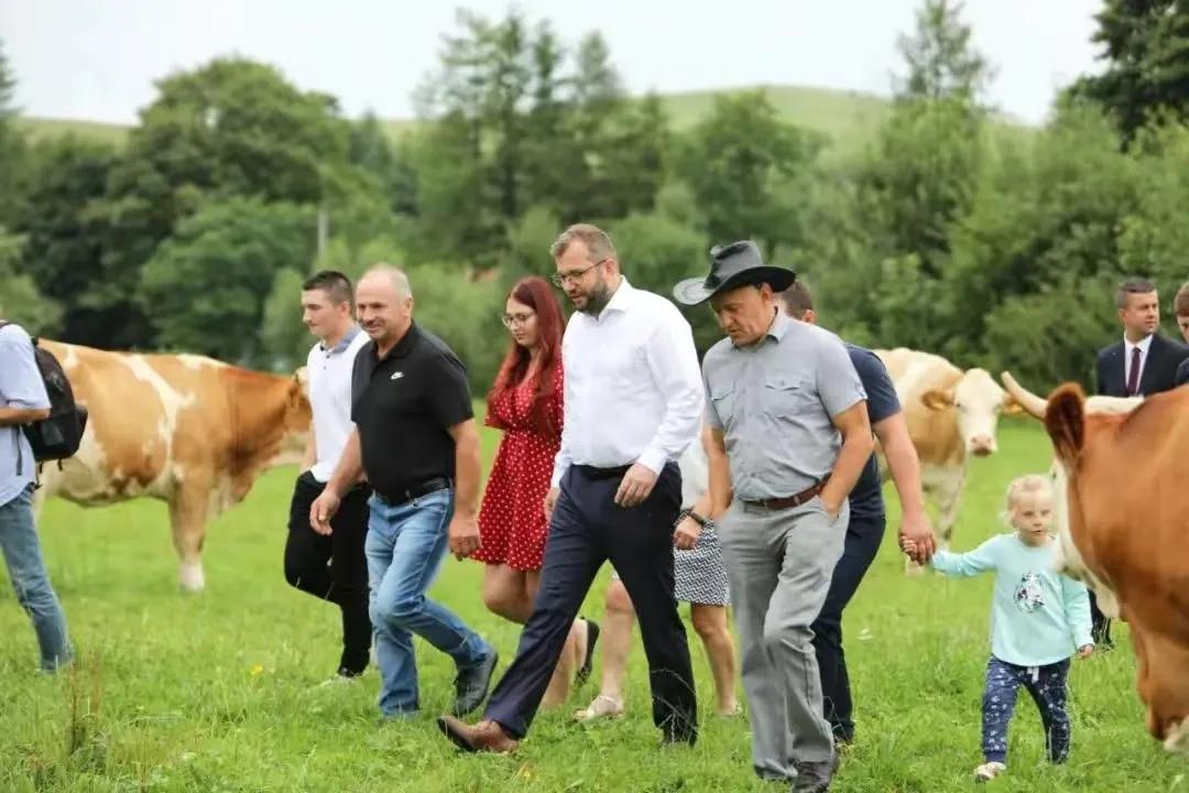 带你一分钟了解波兰,波兰的真实深度解析