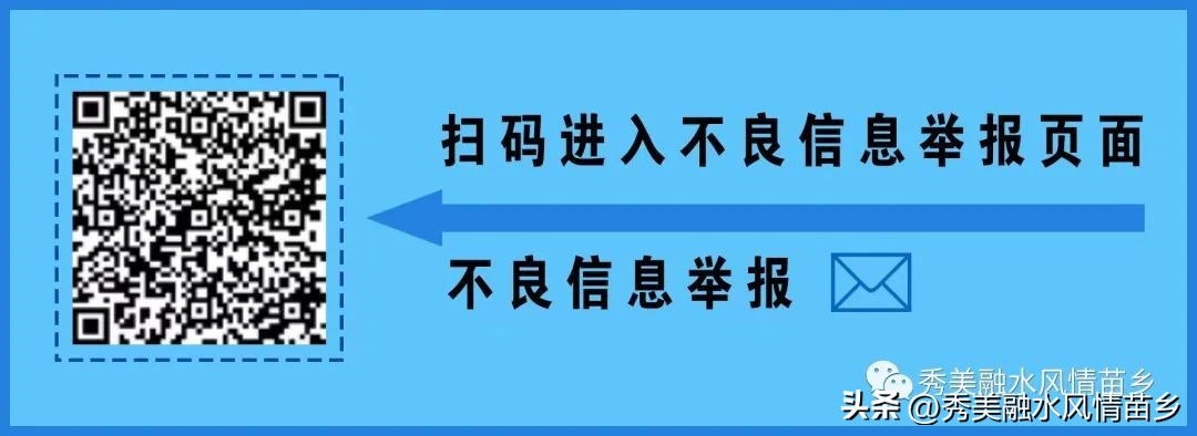 如何以蔬菜产业带动农民增收,蔬菜种植庭院经济助力乡村振兴