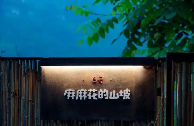 三星中国慈善贡献,三星中国乡村示范项目