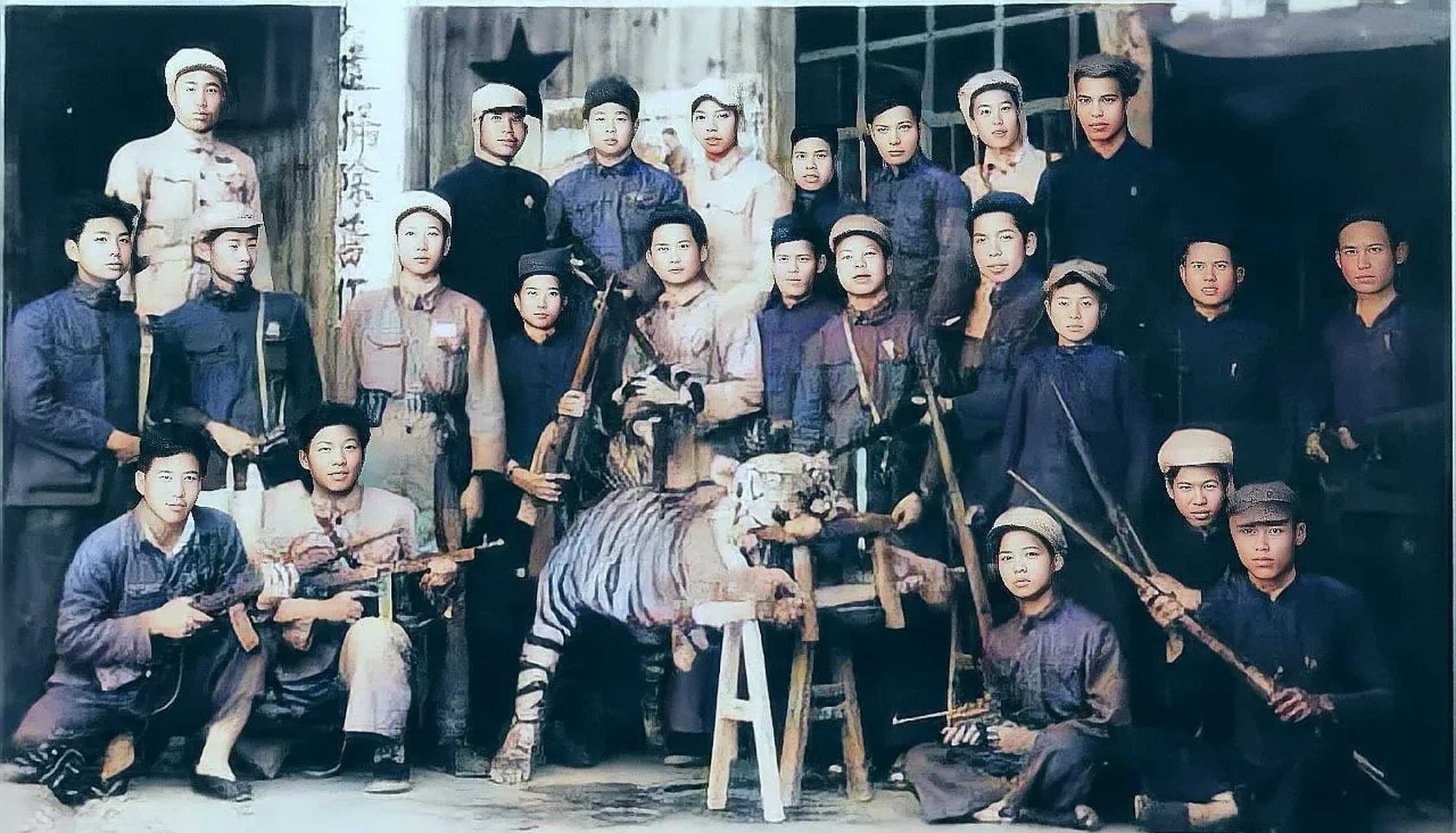 四川到处是老虎为什么不吃大熊猫,大熊猫被老虎吃掉的真实事件