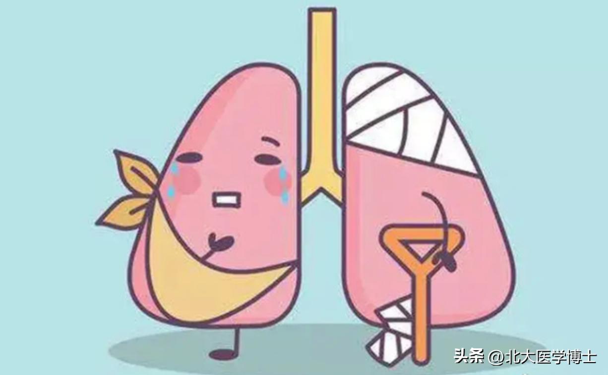 中医肾结石的本质是肾阳不足,脾肾阳虚肾结石